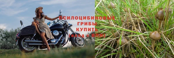 первитин Михайловка